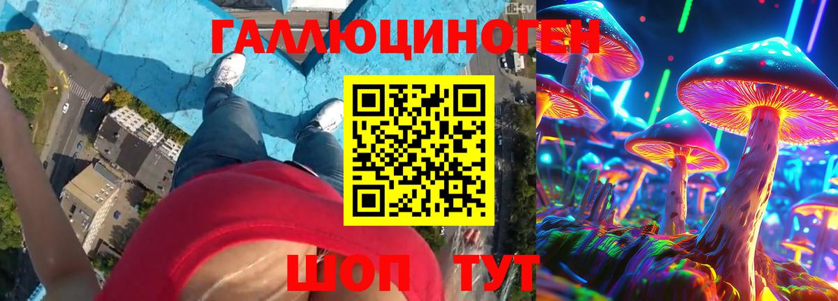 Галлюциногенные грибы мухоморы Узловая